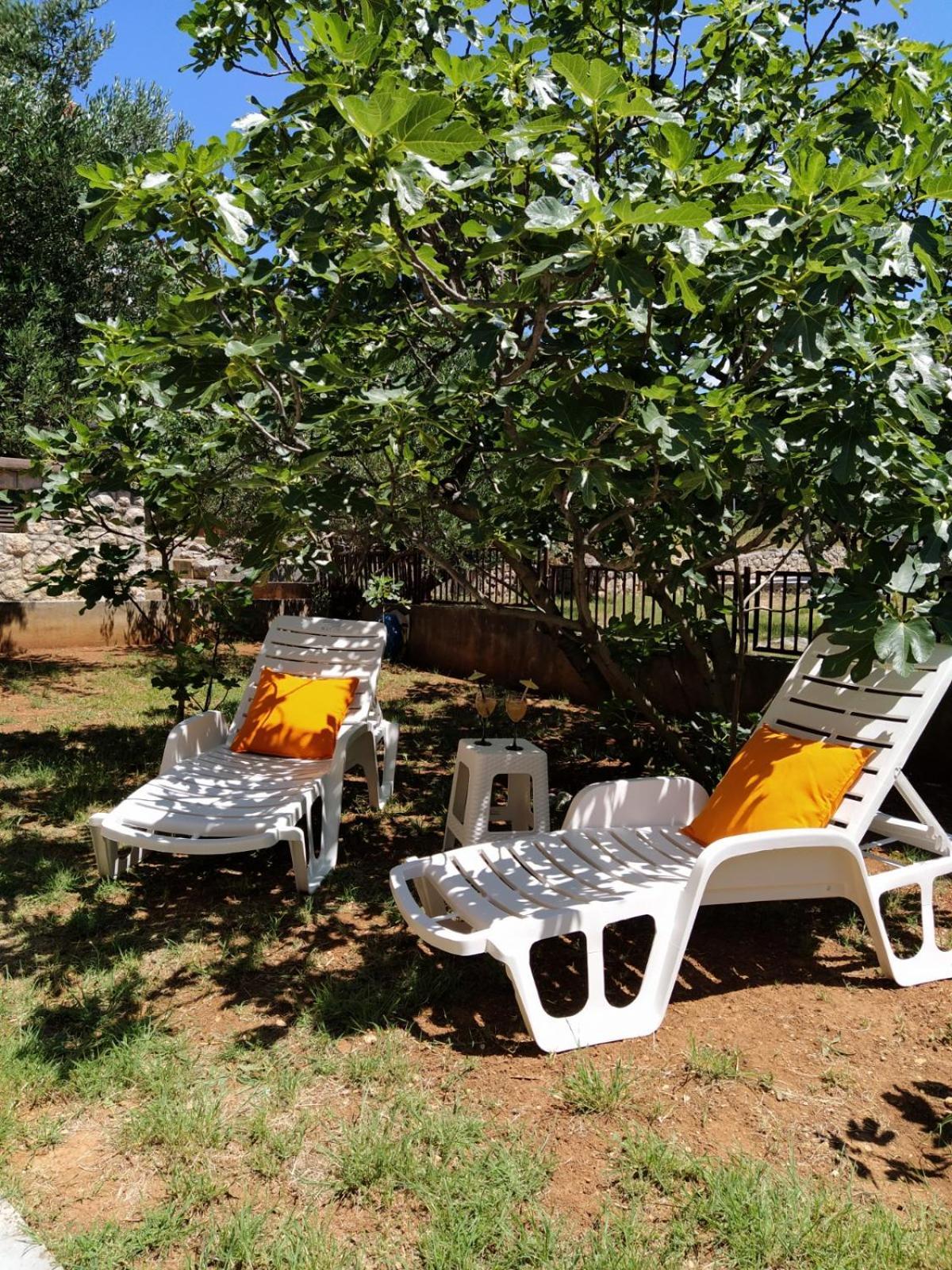 Apartment Savic Starigrad Paklenica Exterior foto